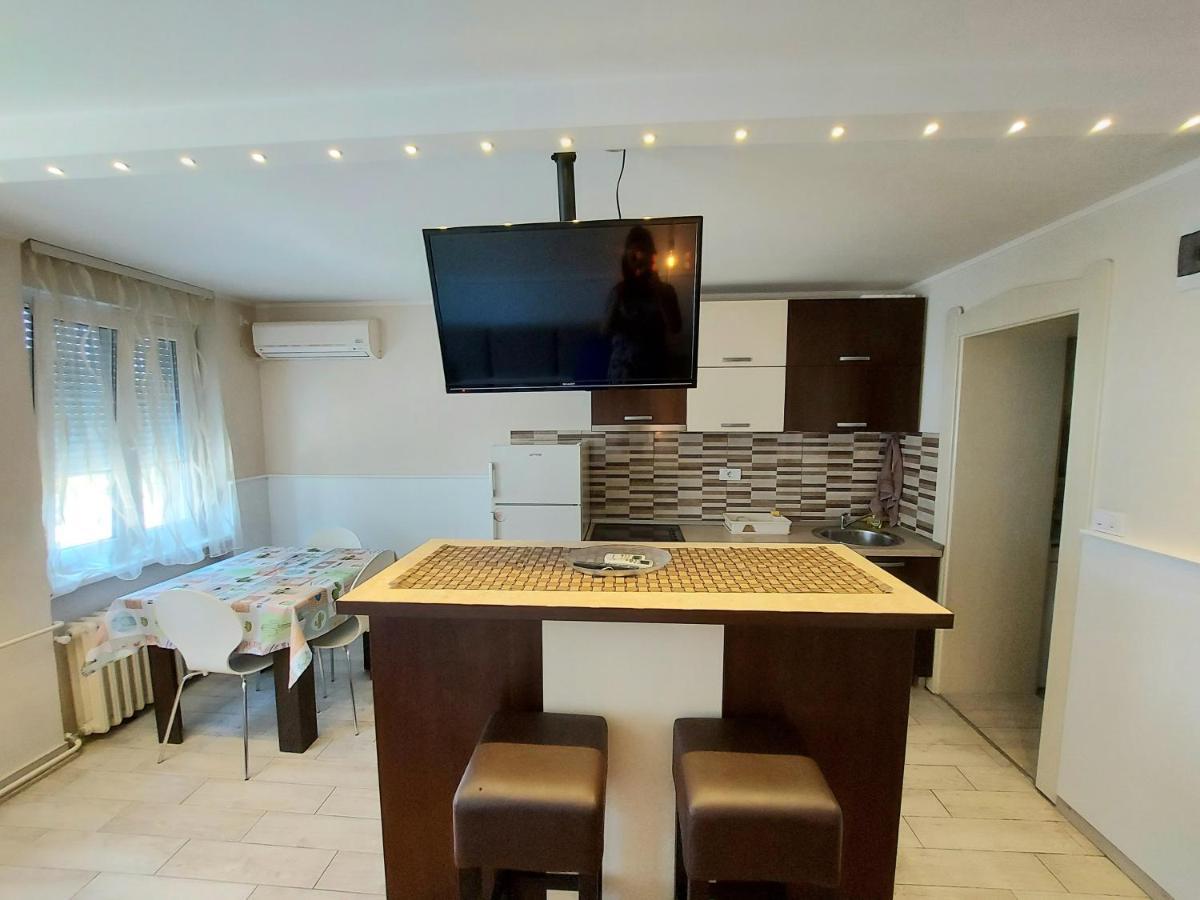 Central Apartment With Garage Nowy Sad Zewnętrze zdjęcie