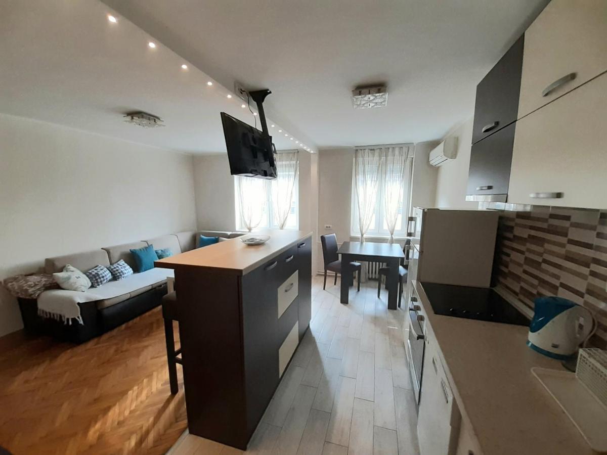 Central Apartment With Garage Nowy Sad Zewnętrze zdjęcie